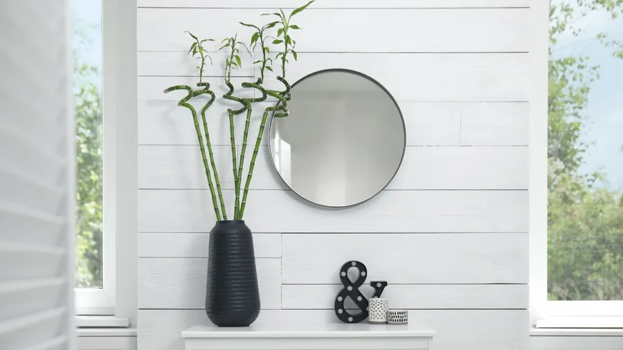 Tall bamboo plant in a black pot with bamboo stalks and leaves, against a white paneled wall with a round mirror.