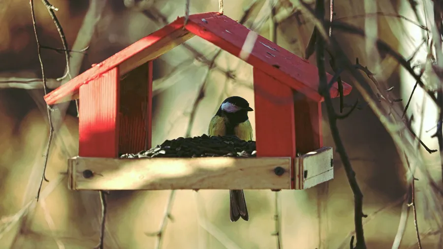 A wooden bird house hanging from a tree.