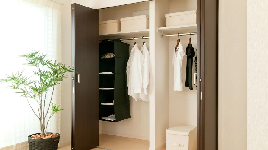 A neatly organized closet featuring a variety of hanging shirts, storage boxes on shelves, and a potted plant nearby, creating a clean and functional space.