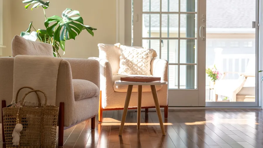 A living room interior with sofas, small coffee table, plant, and ample natural light flowing from windows and glass door.