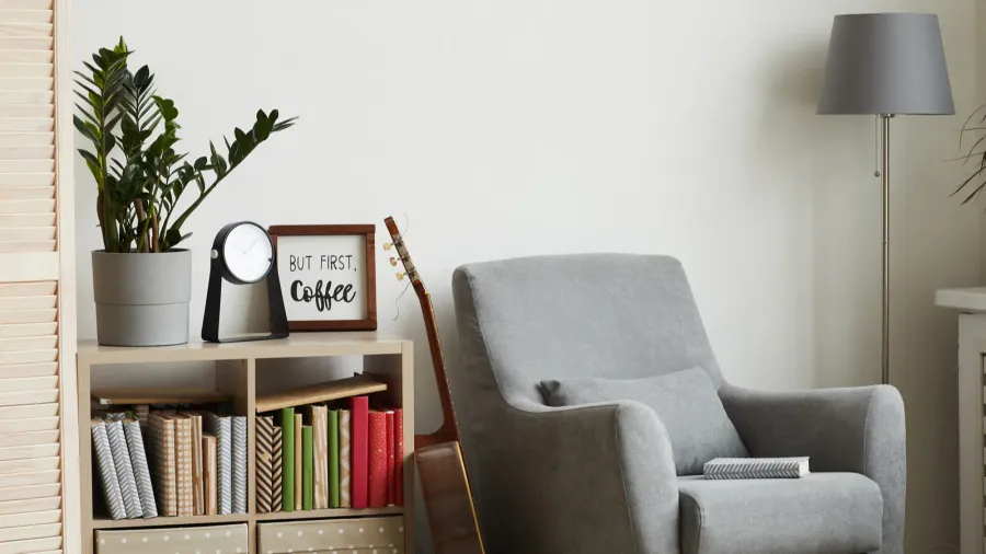 A cozy reading nook with gray sofa, floor lamp, and bookcase.