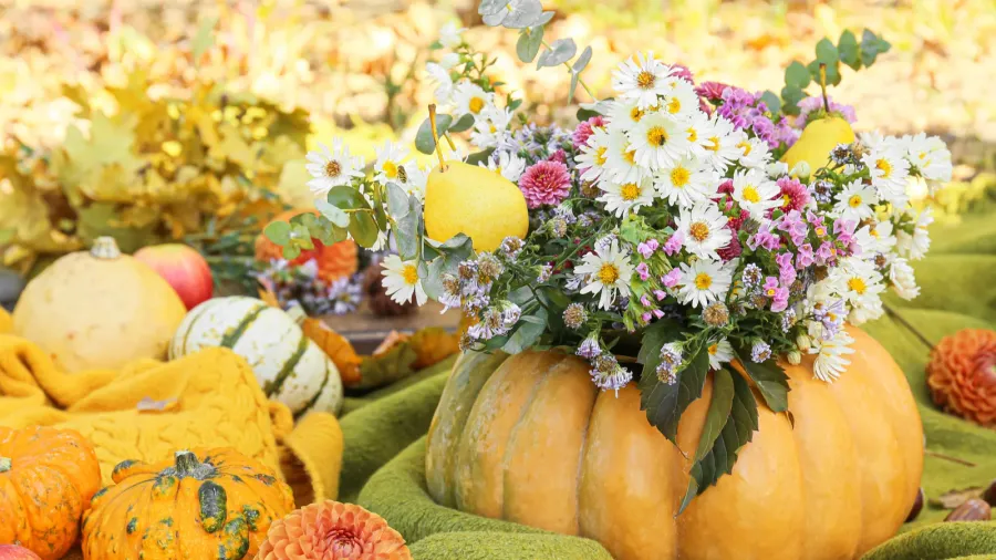 Beautiful bouquet of autumn flowers in pumpkin on warm plaid outdoors.