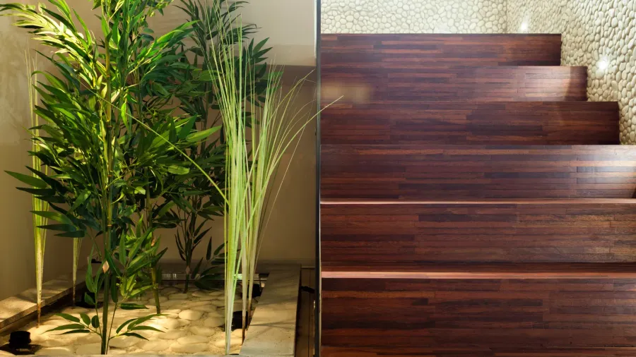 Beauty plants in hall