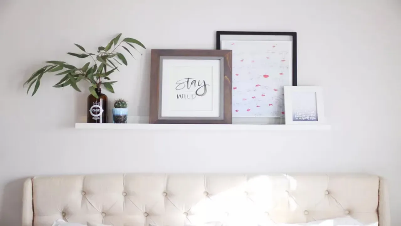 Chick Shelf