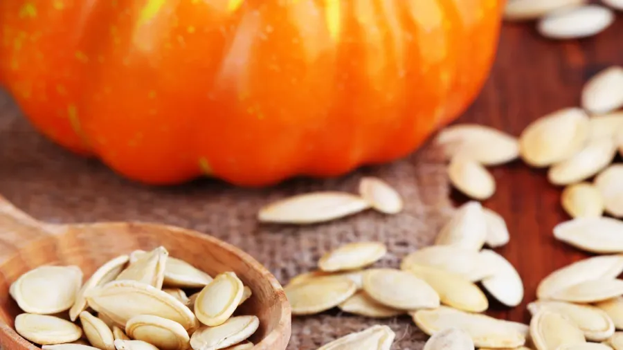 Pumpkin seeds in spoon with pumpkin on sackcloth on wooden background.