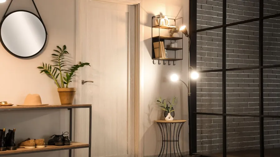 Entryway with a wall mirror, warm lighting, a potted plant, and modern decor elements.