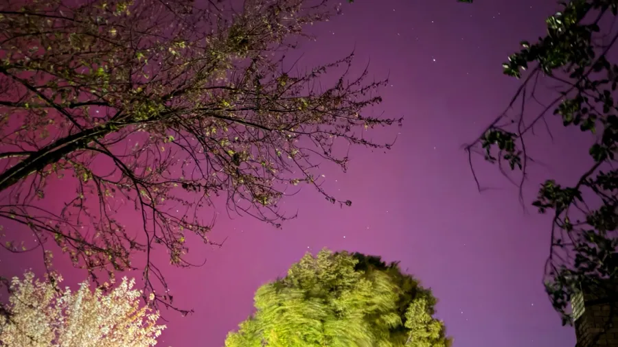 Northern Lights seen from Northeast Arkansas United States on November 11, 2025