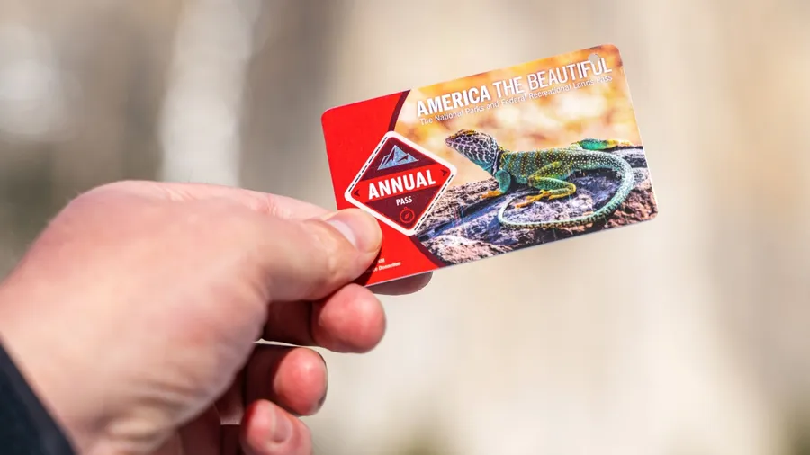 Yosemite Valley, CA 95389, USA - January 14, 2024: A man holds an annual pass against the backdrop of nature. "America the Beautiful" National Park Pass