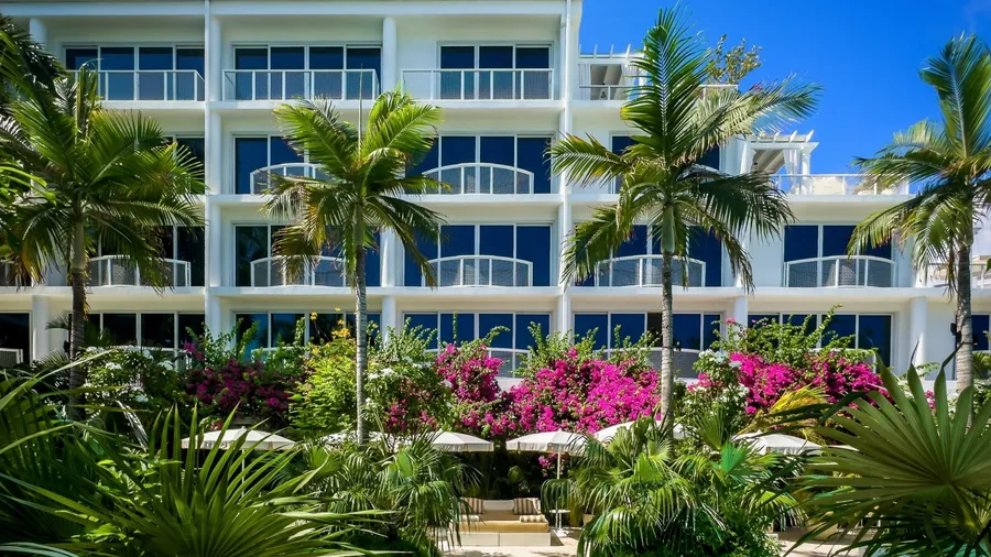 Grand Cayman, Cayman Islands, Aug 5th 2023, view of the area around the swimming pool at Palm Heights, a boutique hotel on Seven Mile Beach