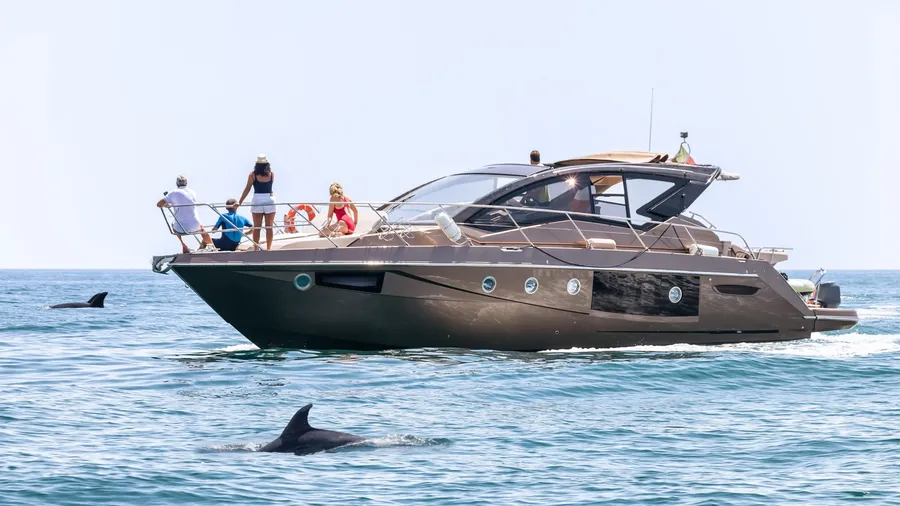 People aboard a luxury yacht watching dolphins, Lagos, Algarve, Portugal