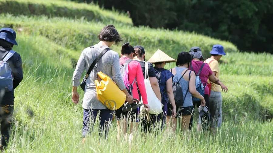 Tourists trekking through lush green rice terraces in Bali, Indonesia. Cultural and eco-tourism experience showcasing traditional agriculture, rural lifestyle, and scenic landscapes