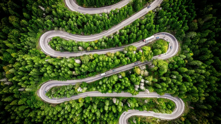 An aerial top-down drone shot capturing the dramatic serpentine curves of a mountain road winding through lush evergreen forests in the Carpathian Mountains near Cheia, Romania.