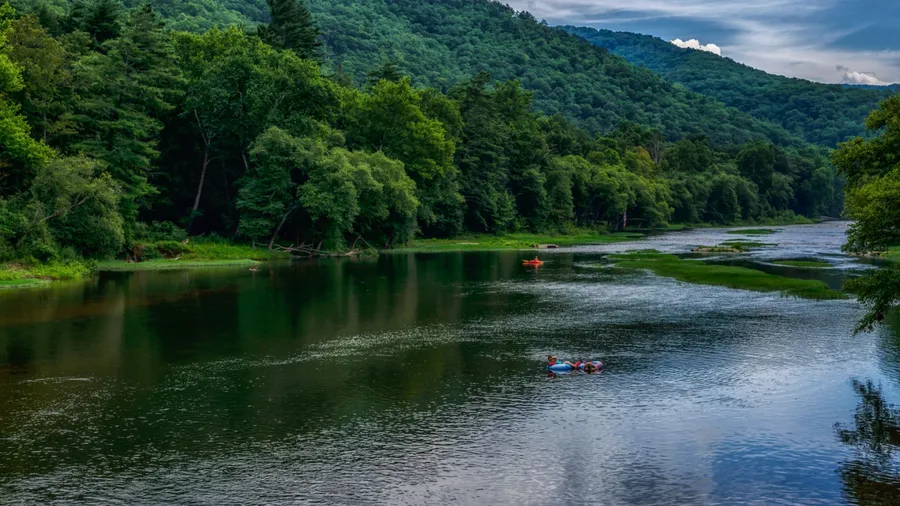 Lazy July day on Greenbrier River in Pocahontas County, West Virginia, USA