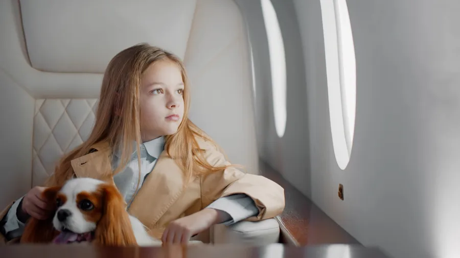 Portrait of cute preteen girl travelling with cocker spaniel dog by commercial airplane. Adorable child with pet sitting in first class jet flying alone