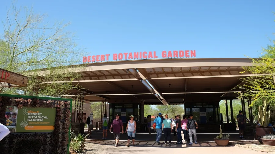 Phoenix, Arizona, USA, April 2023: Desert Botanical Garden