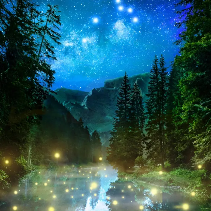 Why rivers in the Philippines glow bright green during firefly season