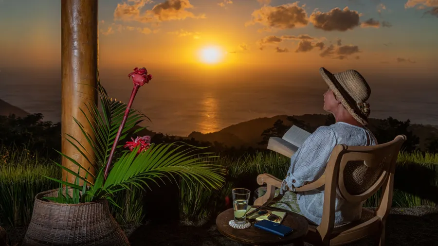 Woman in a summer hat enjoys reading,working,relaxing at beautiful Caribbean sunset. Patio with large red torch ginger lily flowers. Digital nomads, remote workers.