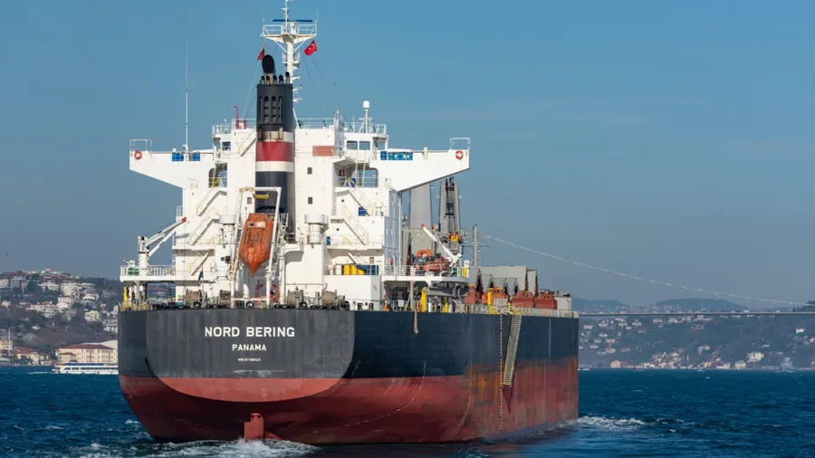 ISTANBUL, TURKEY - JANUARY 25, 2020: Nord Bering Panama bulk carrier ship in Bosphorus Strait on the background of a big city Istanbul.