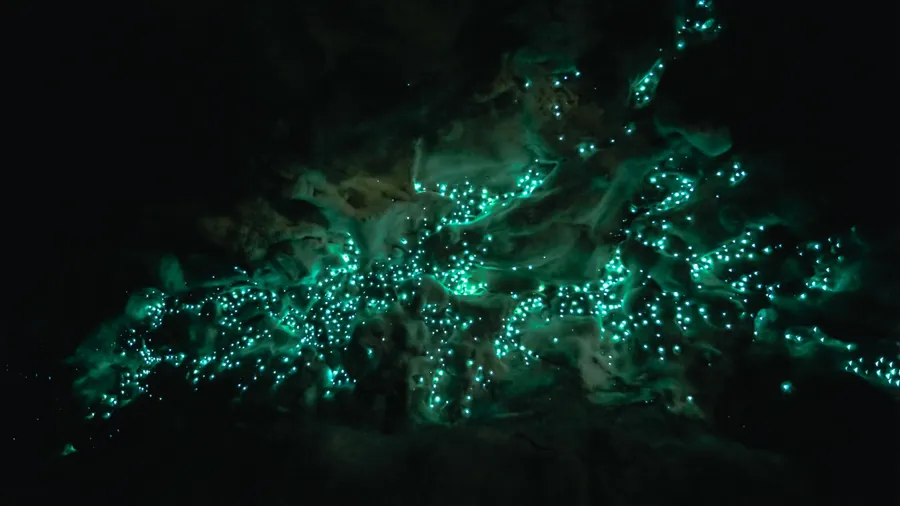 "Waipu Cave" Glowworm cave