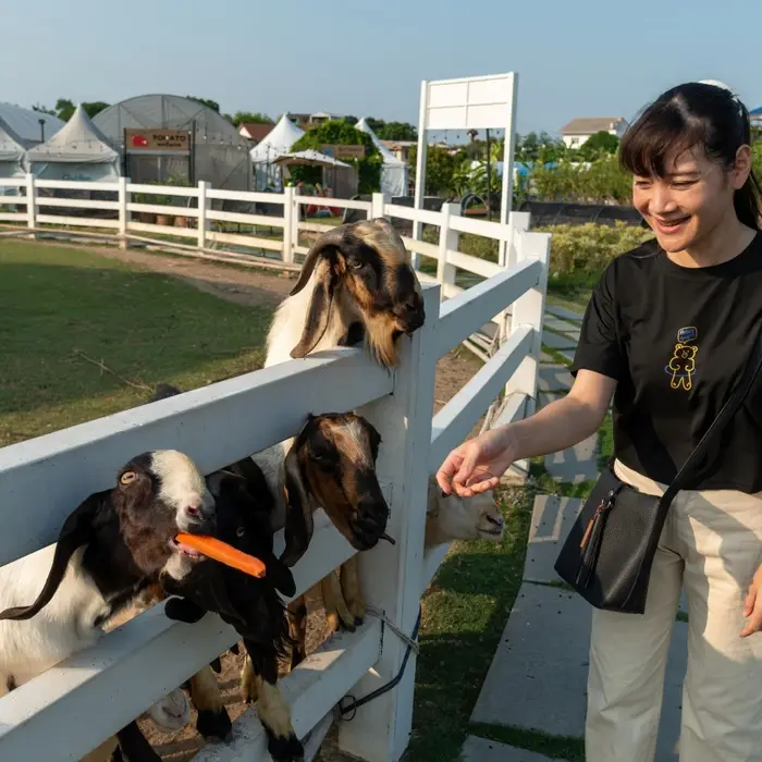 Be a farmer for a weekend with soulful farm stays