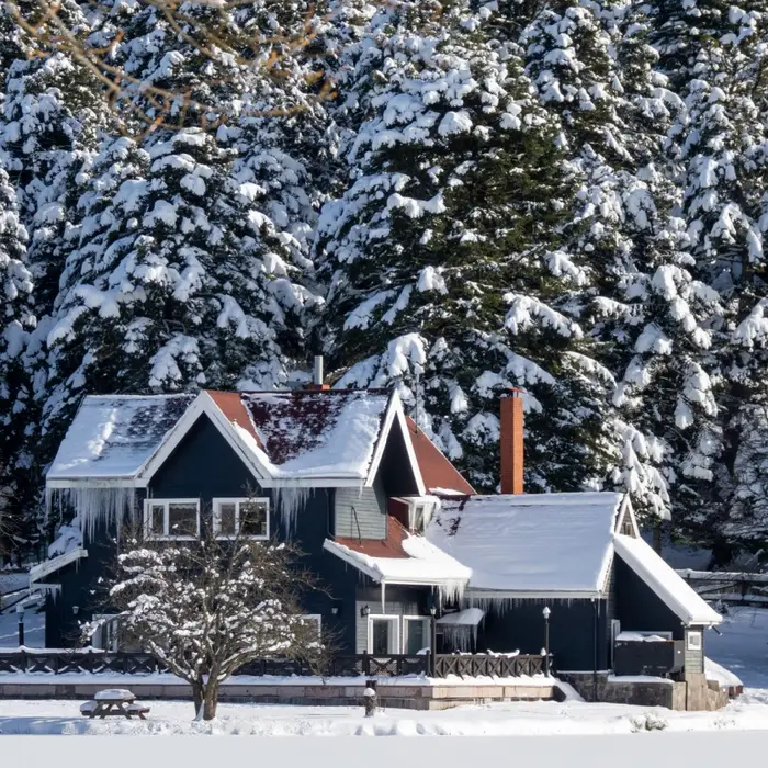 Sub-Arctic artist retreats are now luxury stays celebrities love