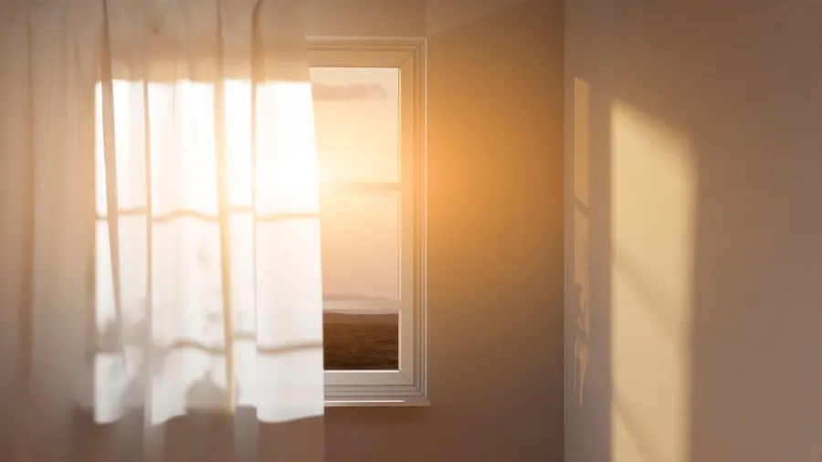 A bright room with sunlight filtering through the sheer curtains on the window, casting a beautiful golden glow.