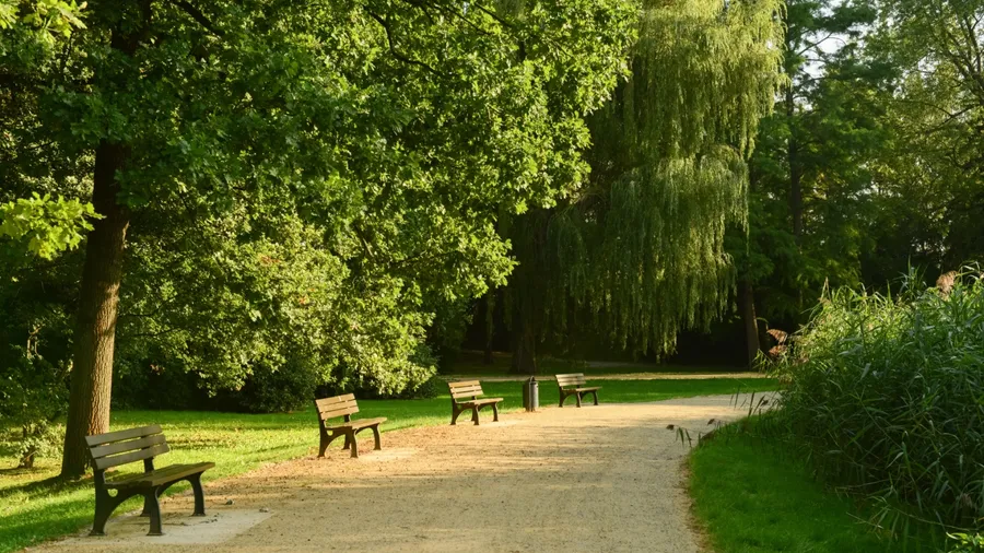 View of park with benches, green trees and alley