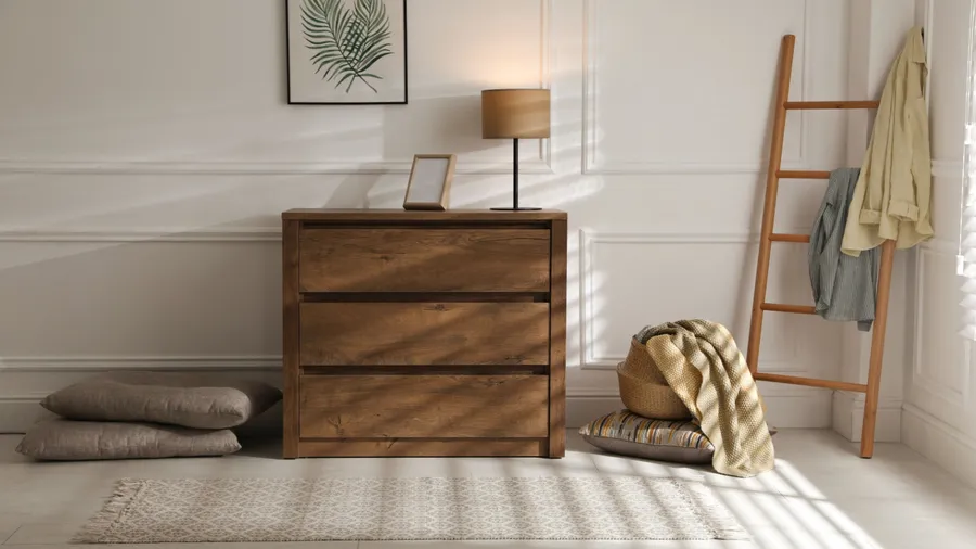 A wooden dresser with a lamp and plants, alongside two plush chairs and a decorative rug.