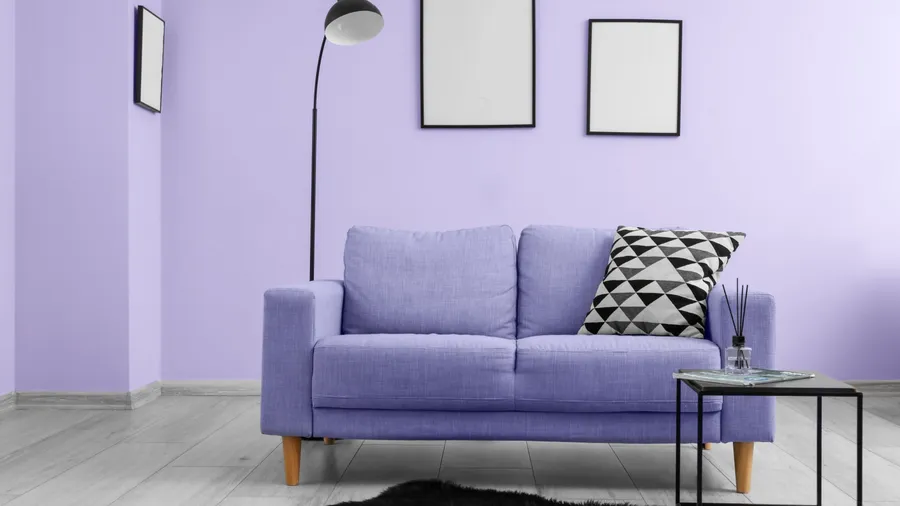 A light purple living room featuring a lavender sofa and a black floor lamp.