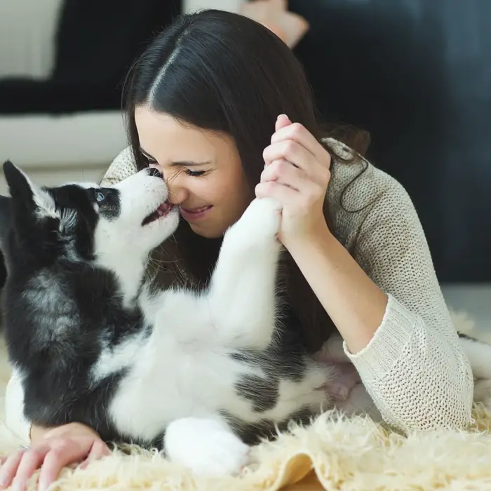 Are Plush Carpets Ruining Your Allergy Control?