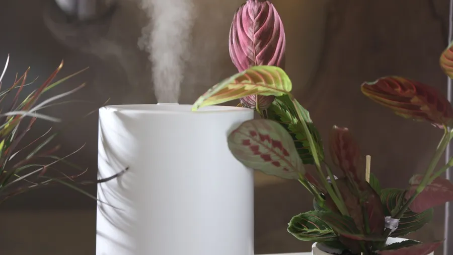 A white diffuser with potted plants near it on a table.