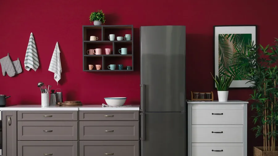 A kitchen interior with burgundy walls, white and gray cabinets, refrigerator, plants, and a floating shelf with cups.