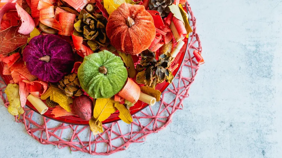 Potpourri fall/autumn home decor with velvety pumpkins and light grey background.