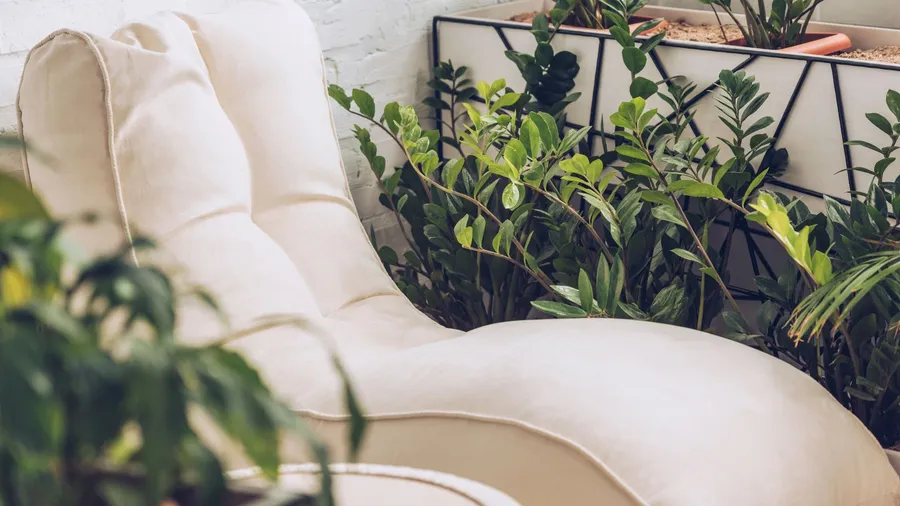 A cozy white chaise lounge in front of a white wall surrounded by plants.
