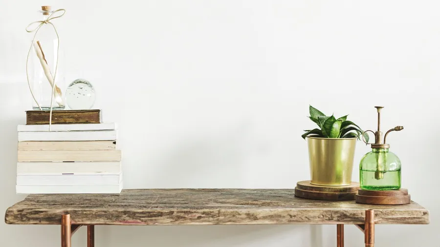 A wooden console with plant, books, and a decor piece in front of a white wall.