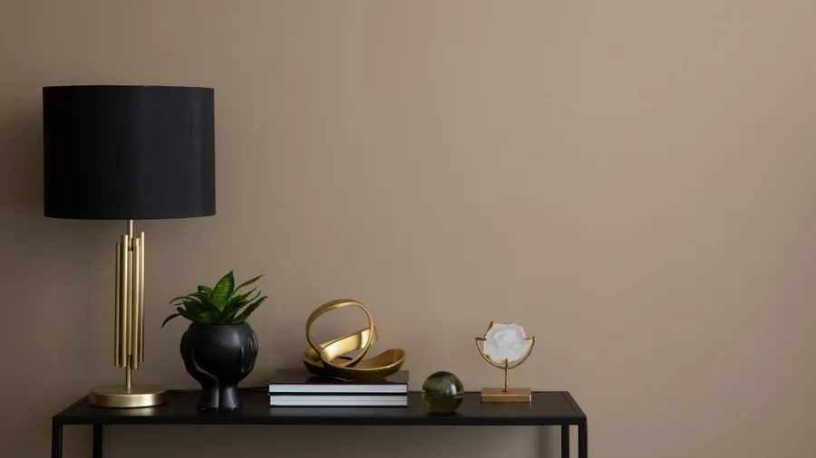 A black console table in front of a taupe wall with books, small potted plant, and metallic accent decor pieces.
