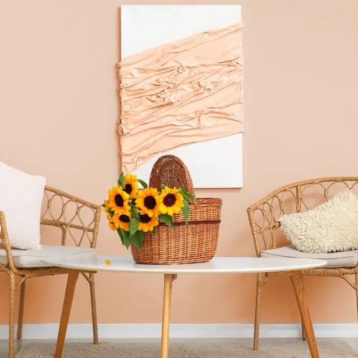 Pick Houseplants Based on Your Personality Type
