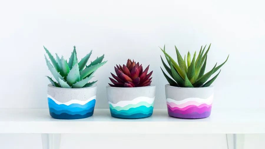 Red and green succulents in painted pots on a white shelf.