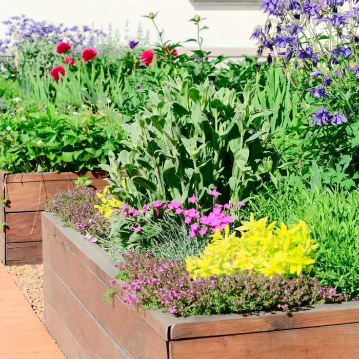 The Garden Updates Everyone is Copying This Year
