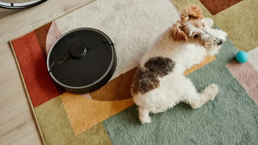A small dog lying on a multicolored rug near a robot vacuum with a blue ball.