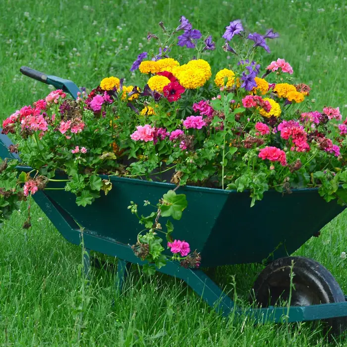 Budget Garden Upgrades That Look Luxe