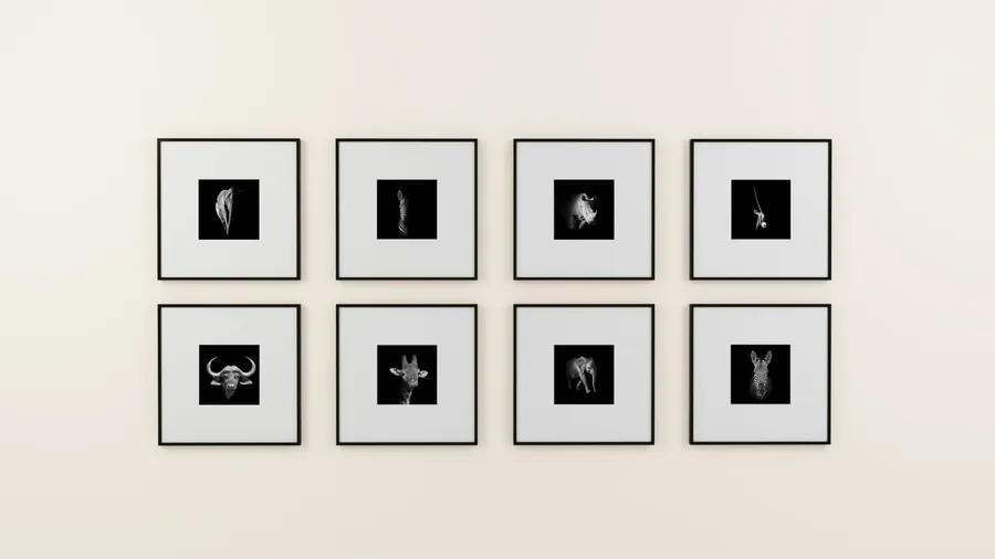 A grid of monochrome wildlife photos in black frames on a beige wall.