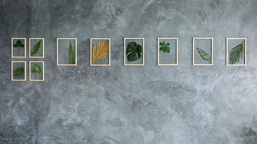 The leaves of tropical plants in wooden frames hanging on gray textured wall.