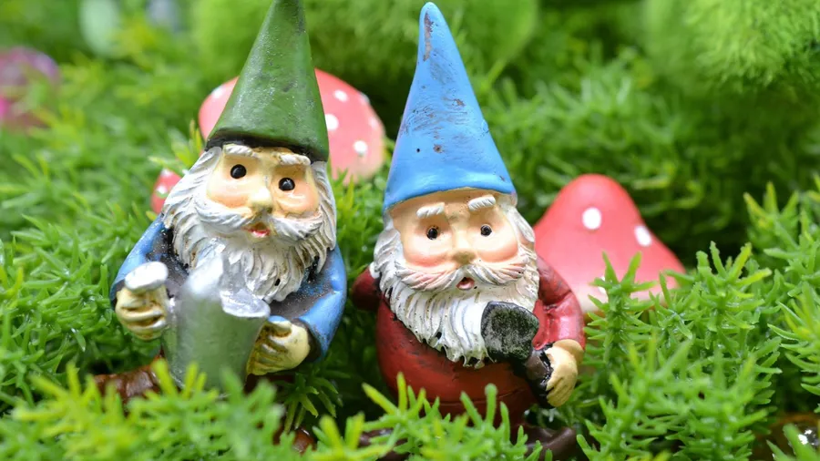 Two garden gnomes peeking from the bushes.