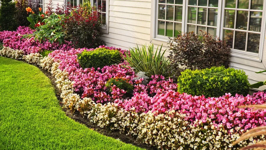 A vibrant and beautiful flower bed with clean edges, colorful flowers, and bushes in a garden.