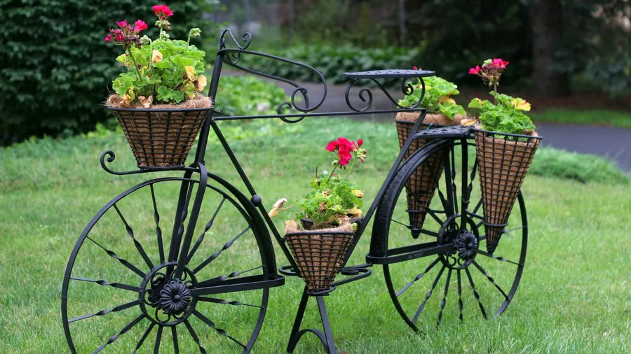 A vintage bicycle planter in a garden.