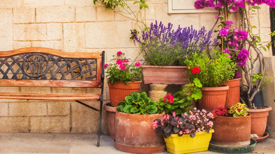 An ornate wooden bench sits beside a wall adorned with a vibrant collection of potted plants and colorful flowers.