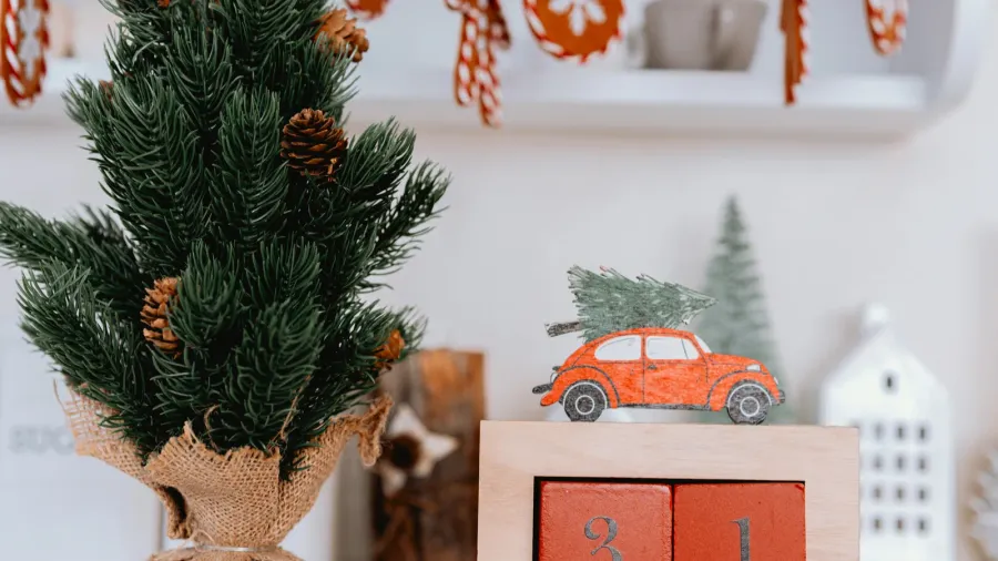 a cozy holiday display features a small evergreen tree in