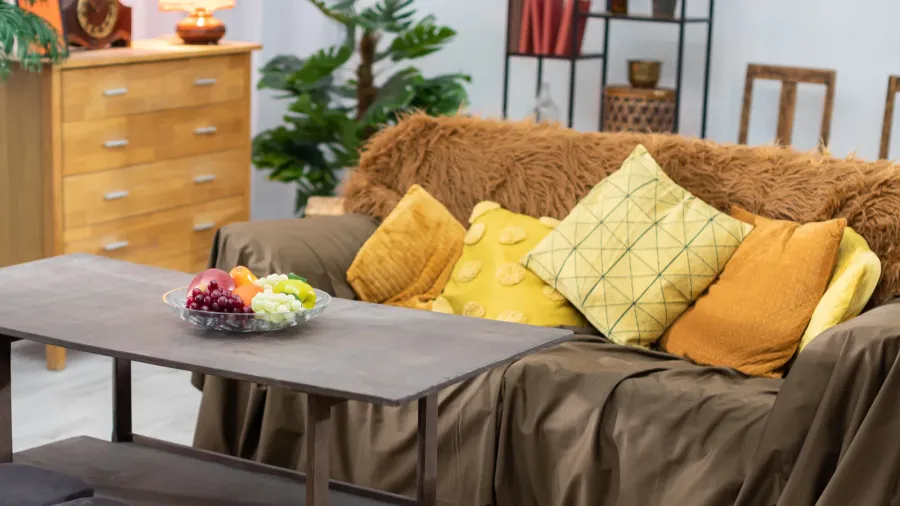 a cozy living room with a stylish sofa decorative pillows
