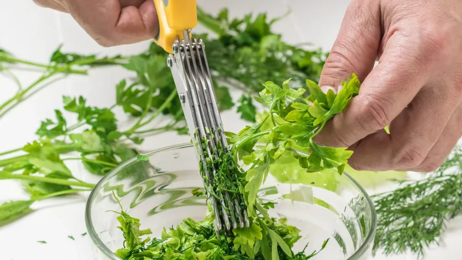 A man cutting herbs using a five-blade herb scissor into a bowl.